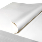100% zuiver houtpulp pluisvrij kopieerpapier voor cleanroom