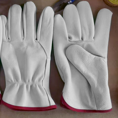 Hoogwaardige buitenrijhandschoenen koeienleerhandschoenen trainingshandschoenen fietsen